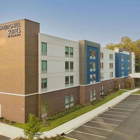 Springhill Suites By Marriott Charlotte Huntersville Exterior photo